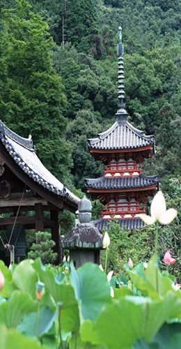 Shrine