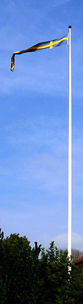 ny flagstang